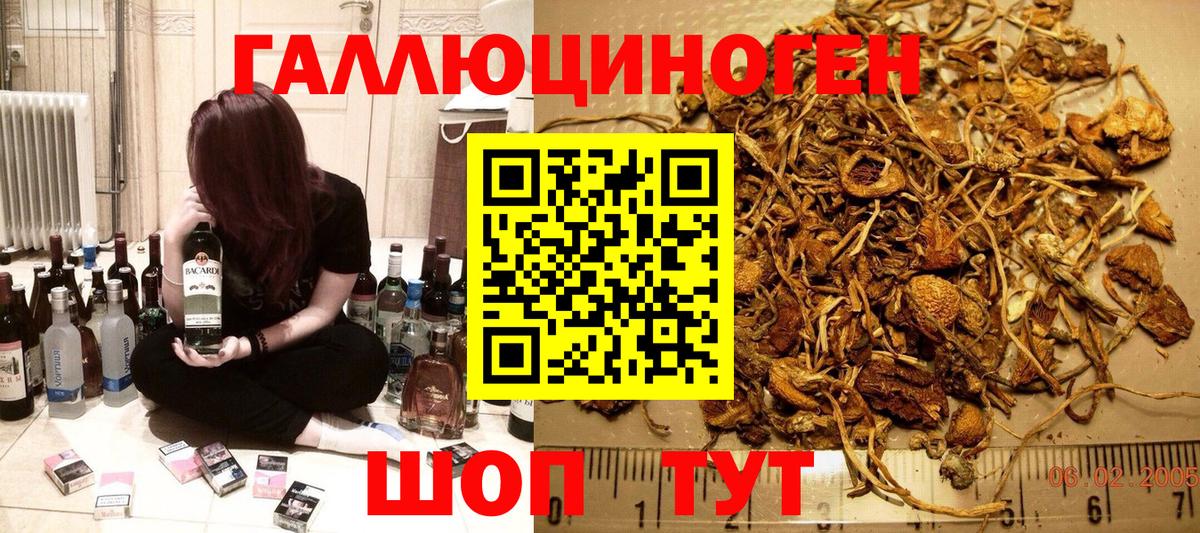 Псилоцибиновые грибы Туапсе