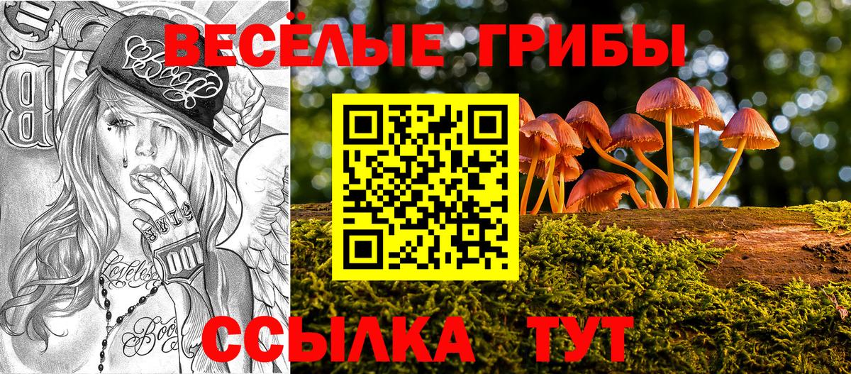 Псилоцибиновые грибы ЛСД  купить   Вход с VPN  Туапсе  Галлюциногенные грибы Cubensis 