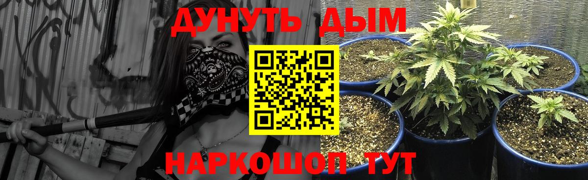 Каннабис OG Kush  Бошки марихуана OG Kush  Вход с VPN  Туапсе  Марихуана тримм 